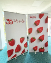 Nasze realizacje: realizacja-roll-up-reklamowe-1